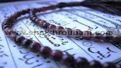 جلب الحبيب بسورة "يس"